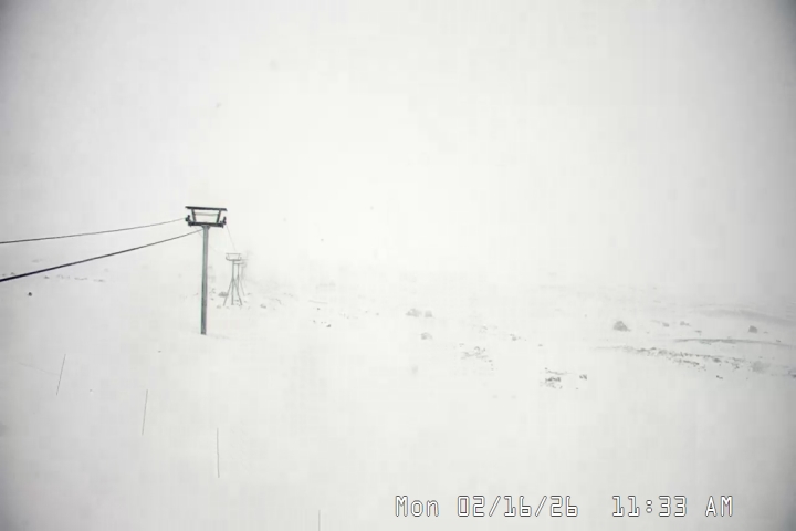 Live Feed: Palmer/Silcox Camera