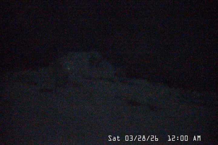 Live Feed: Palmer/Silcox Camera