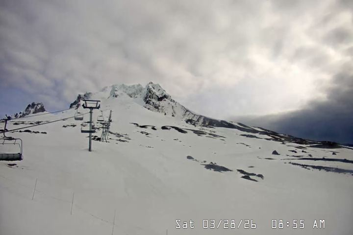 Live Feed: Palmer/Silcox Camera