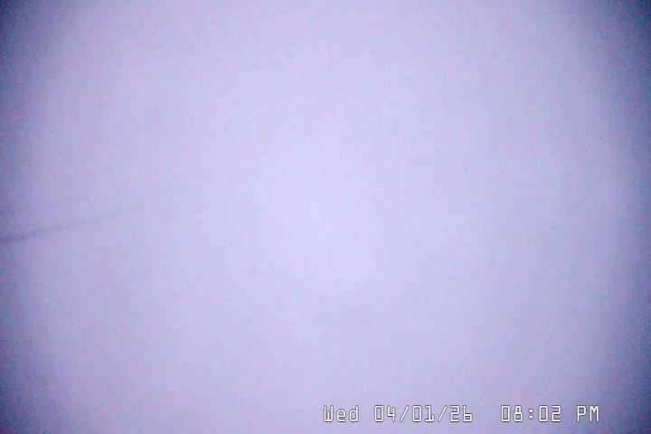 Live Feed: Palmer/Silcox Camera