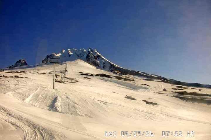 Live Feed: Palmer/Silcox Camera