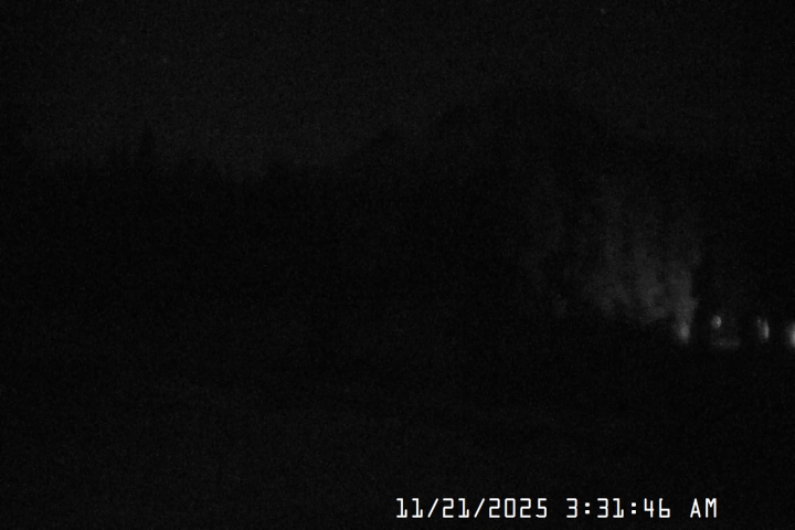 Live Feed: Pucci Camera