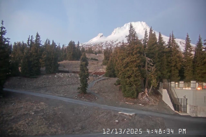 Live Feed: Pucci Camera