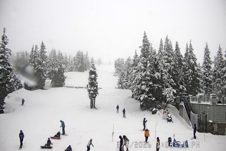 Live Feed: Pucci Camera