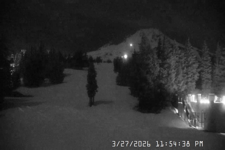 Live Feed: Pucci Camera