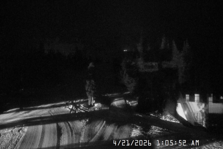 Live Feed: Pucci Camera