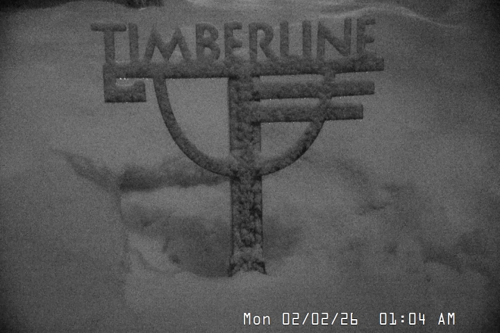 Live Feed: Snow Stake