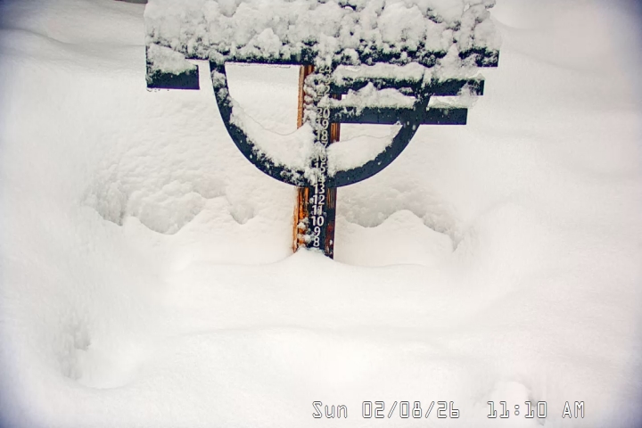 Live Feed: Snow Stake