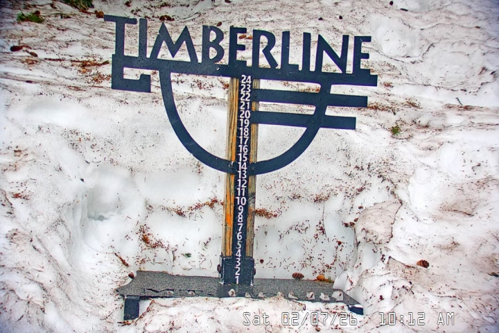 Live Feed: Snow Stake