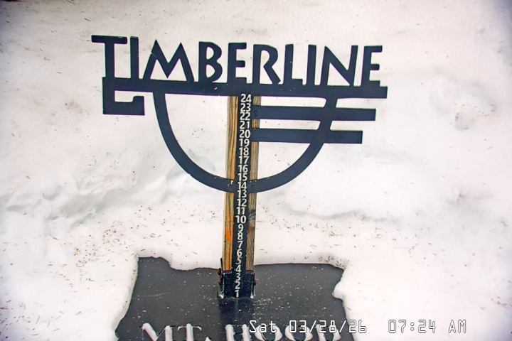 Live Feed: Snow Stake