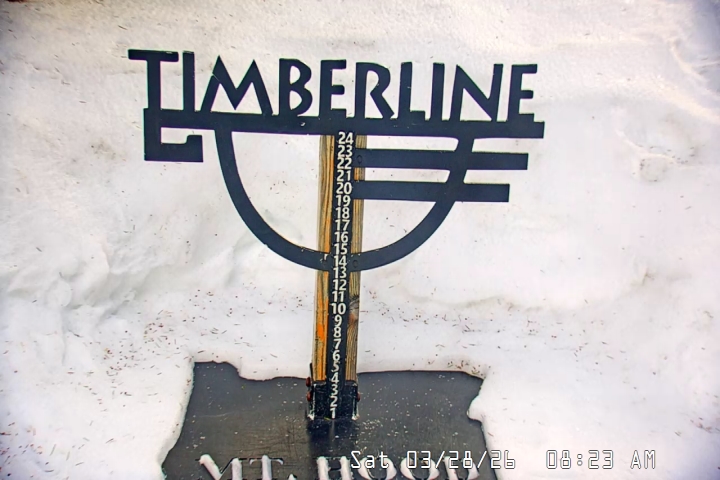 Live Feed: Snow Stake