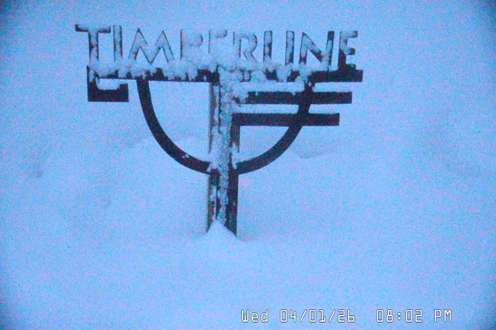 Live Feed: Snow Stake