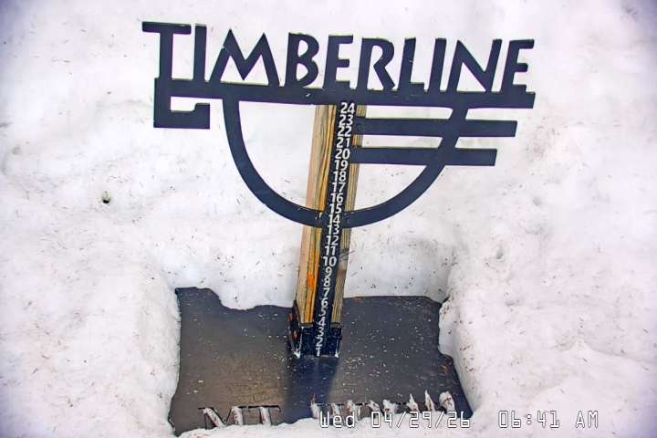 Live Feed: Snow Stake