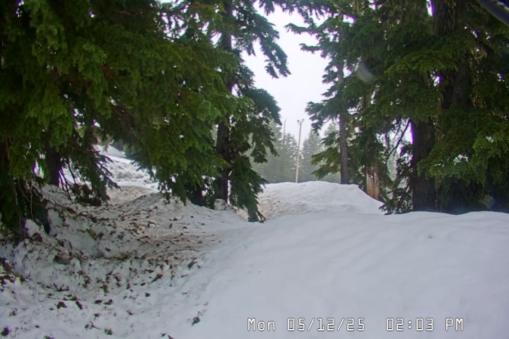 snow