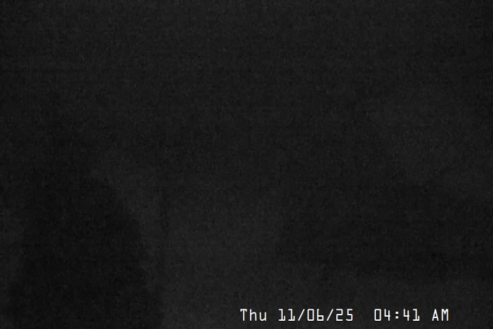 Live Feed: Magic Mile Camera