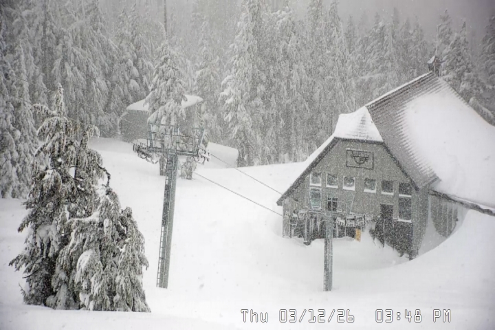 Live Feed: Magic Mile Camera