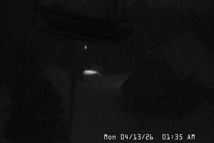 Live Feed: Magic Mile Camera