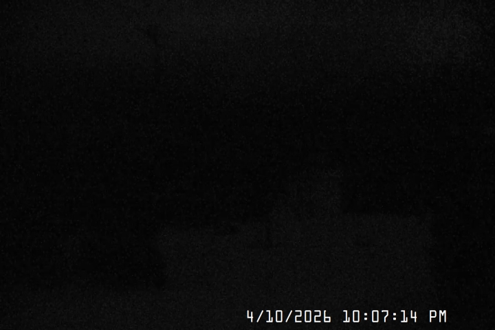 Live Feed: Jeff Flood Camera