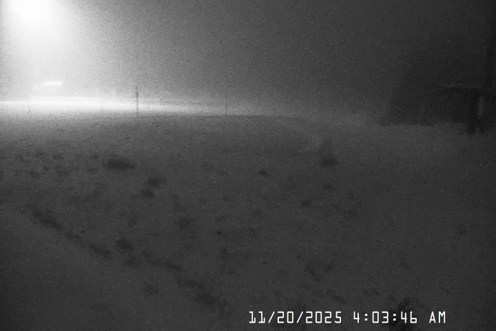 Live Feed: Bruno's Lift Camera