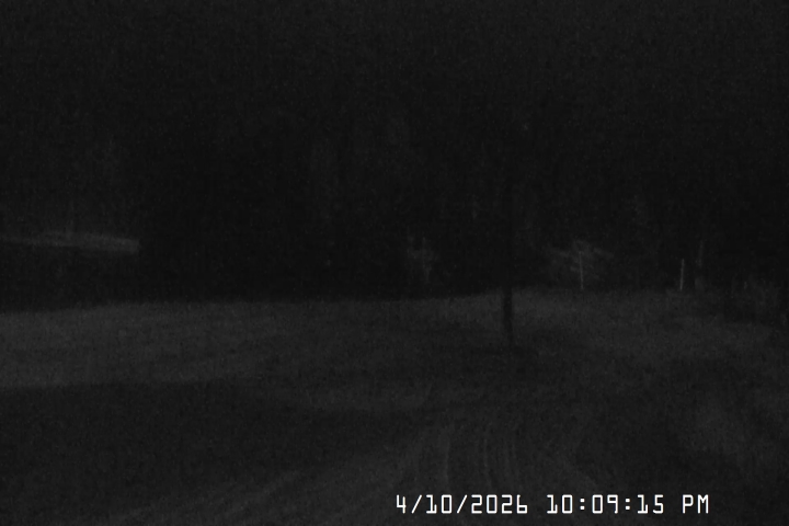 Live Feed: Bruno's Lift Camera