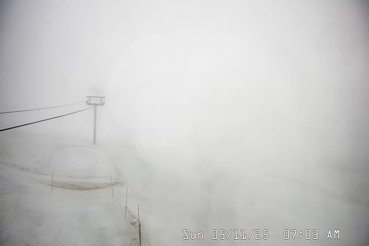Live Feed: Palmer/Silcox Camera