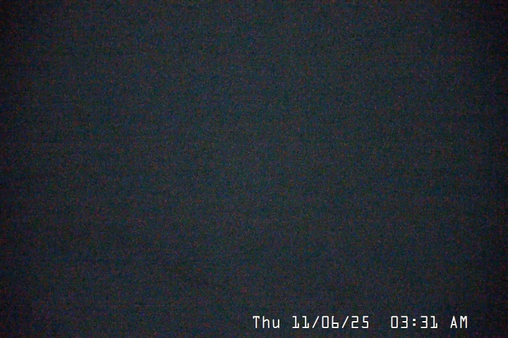 Live Feed: Palmer/Silcox Camera