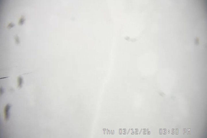 Live Feed: Palmer/Silcox Camera