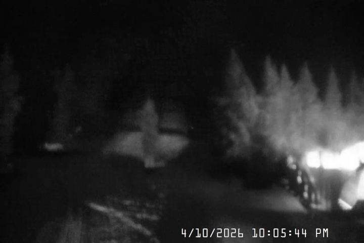 Live Feed: Pucci Camera