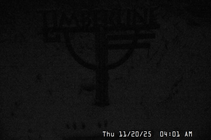 Live Feed: Snow Stake