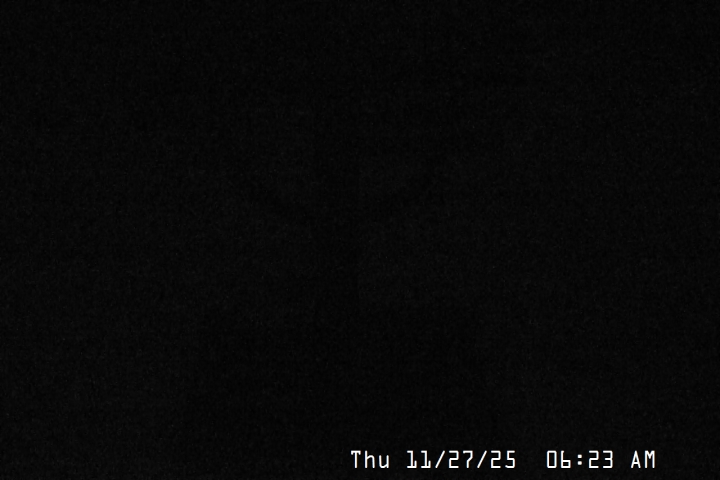 Live Feed: Snow Stake