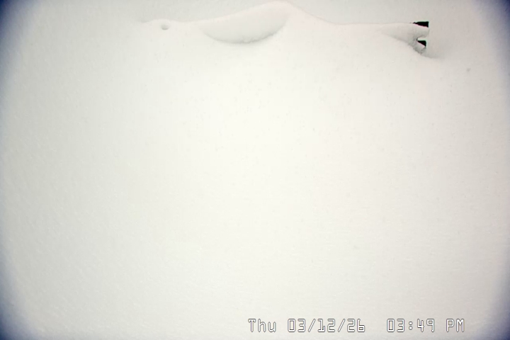 Live Feed: Snow Stake